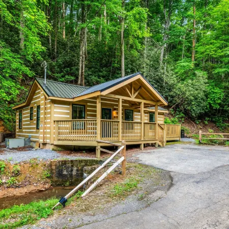 2bdrm Cabin 4 Gburg Pet Friendly Firepit Games
