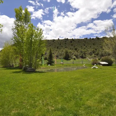 Gorgeous Pet-friendly Boutique Ranch ! Next to  skiing, fishing, rafting