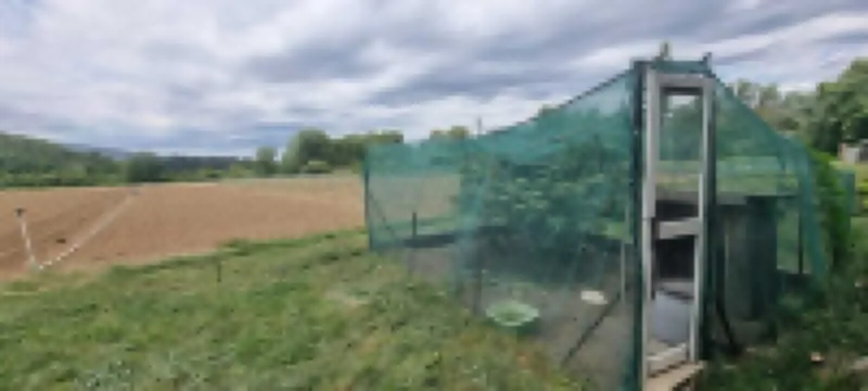Villa Piscine Ventoux Provence