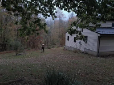 Pet friendly 4 br home on 6.5 acres w access to swim & fishing area --sleeps 10 Hotels in Elk County