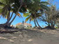 Surfer's Tropical Paradise Hotel a Aguada
