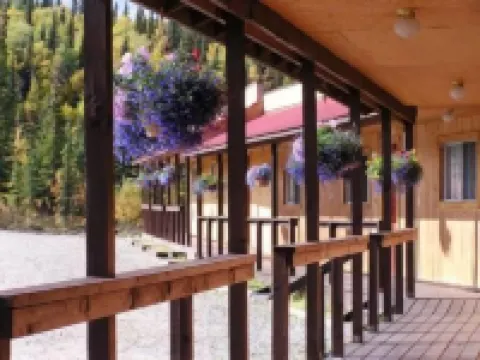 White Moose Lodge Hoteles en Denali