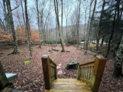 Abundant Acres Retreat 5 minutes from first chair on Beech Mountain, sleeps 9 Hotels in Beech Mountain