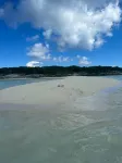 Two bedroom two bathroom beach house located 10 steps from the beach