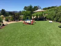 Lovely Vineyard Retreat. Hotels near Mill Creek
