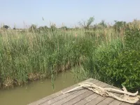 Mas des Oliviers HOUSE/GITE, HEATED SWIMMING POOL and CLOSED GARDEN (3 pets allowed)