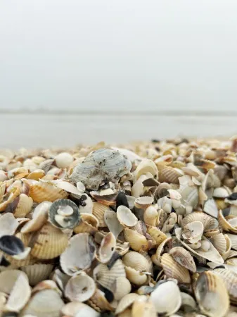 Vacation apartment Strandflair in Baabe - 80 meters to the beach