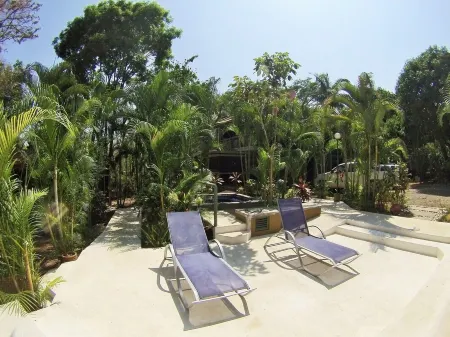 Pool, Sauna, Hot Tub, Fruit Trees, Lush Gardens