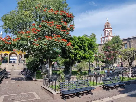 Casa Rana at 10 minutes walk from the center Отели рядом с достопримечательностью «Casa Arrecife»