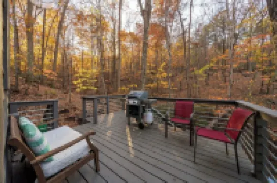 Lakeside, cozy cabin with game room. Recently renovated and pet-friendly!