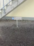 Seagull greeting on the Baltic Sea