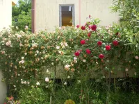 The blue holiday home of La Pervinca