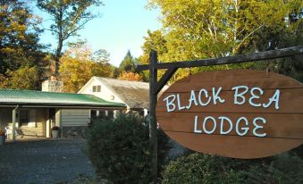 Black Bear Lodge