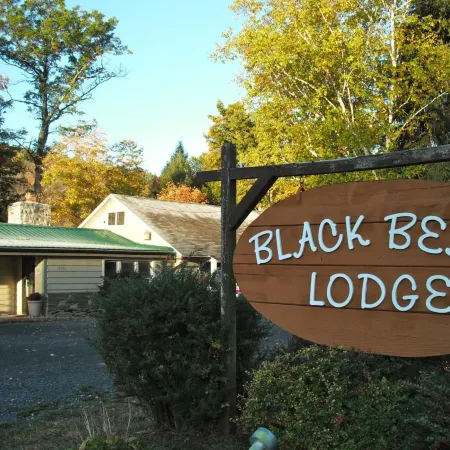 Black Bear Lodge
