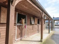 Dexter Hotels in Budock