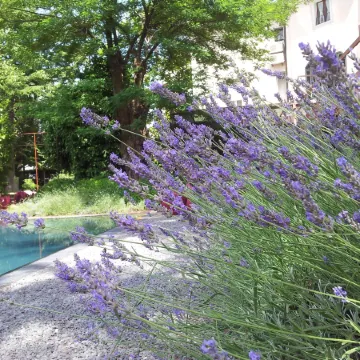 Hotel Clocchiatti Next