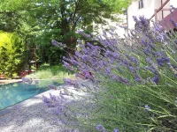 Hotel Clocchiatti Next Hotels in Udine