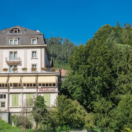 Waldhotel Unspunnen