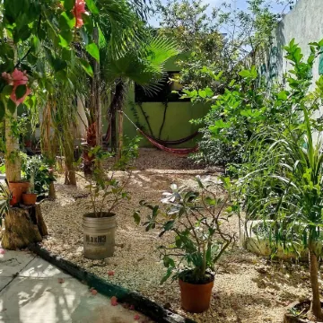 Casa Otilia - Hospedaje