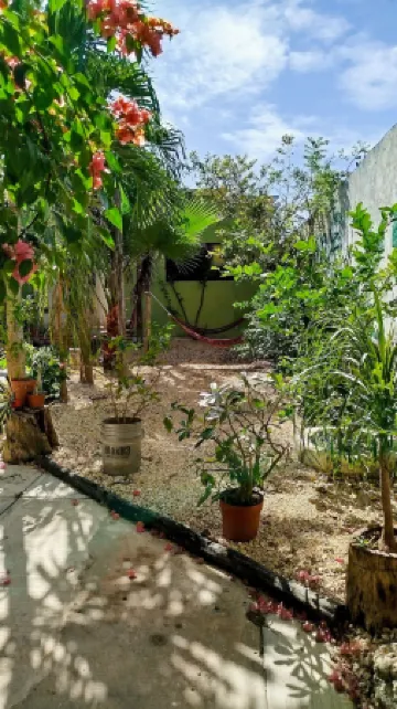 Casa Otilia - Hospedaje