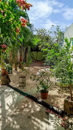 Casa Otilia - Hospedaje