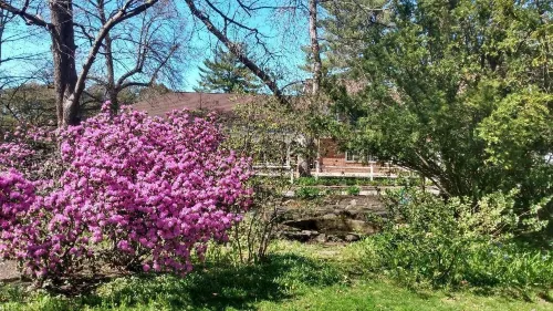 The Governor's Inn Hotels in Strafford County