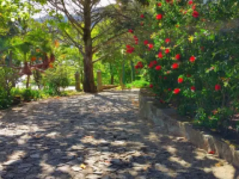 Quinta da Ermida - Turismo de Habitacao Hotels in Baiao