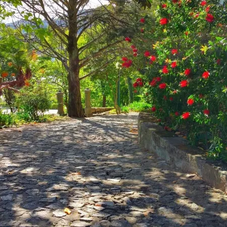 Quinta da Ermida - Turismo de Habitacao