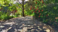 Quinta da Ermida - Turismo de Habitacao