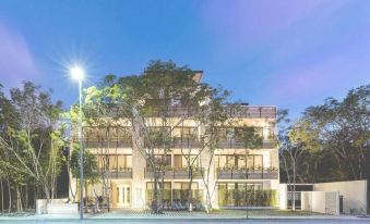 Highline 101 by Sandy Powerful