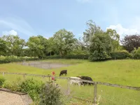 Pond View Hotels in Fordingbridge
