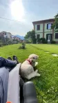 拉弗洛納切旅館