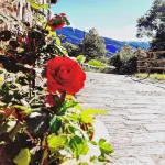 Can Gasparó HotelRural&Restaurant Hotel a Campelles