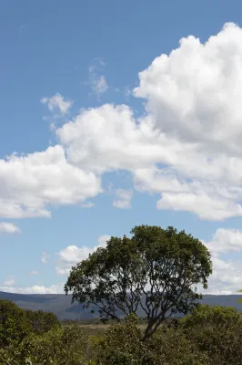 Chácara Lápis Lazuli Hotels in Cavalcante
