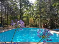 Agriturismo Il Pornelleto - Villa Alari - Pools