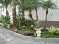 Dryad Motel