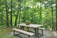 Mountain Getaway | Near Hiking & Okemo Resort - WiFi