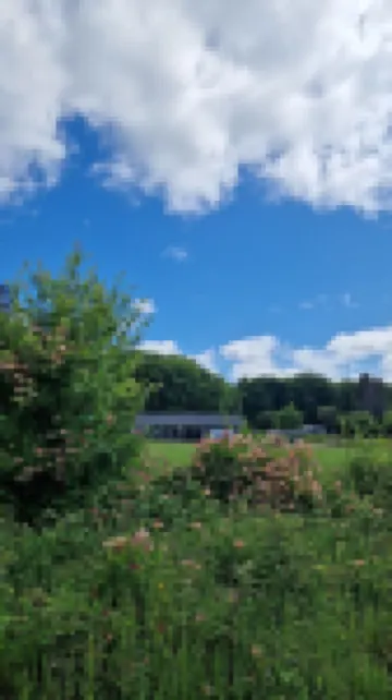 Comfy PNW escape in town - quiet and peaceful, perfect for exploring Olympic NP