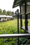 The Boathouses at Leaves & Fishes - Villas