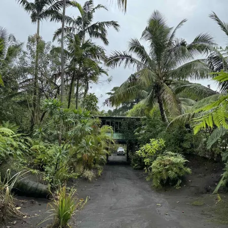 Jungle Oasis Bungalow