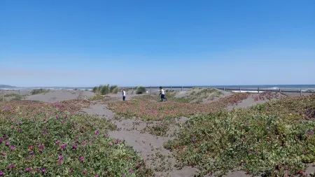 Delightful 1-bedroom Tiny house pet friendly in La Trinchera beach, Maule