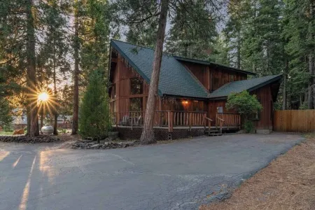 Cozy Cabin in the Woods with Comforts, Hot Tub, Walk to Lake Отели в г. Гамильтон Бранч