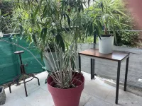 Atypical apartment in downtown Le Luc en Provence Near Saint-Tropez Hotels in Le Luc