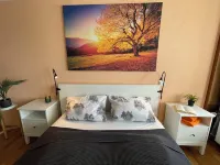 Vacation apartment in Freudenstadt Kniebis III, Black Forest