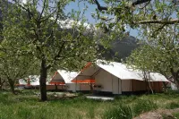Apple Orchard Farm and Camping Hotels in Kullu