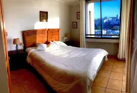 Año Nuevo en Reñaca