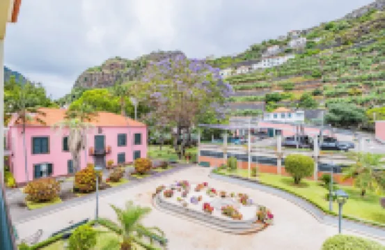 Homie的佩斯塔納之巢