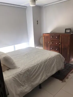 Pinares de Santo Domingo