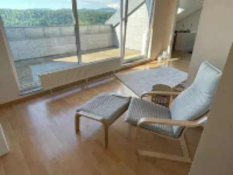 Spacious vacation apartment with panoramic view Hotels in Schopfheim