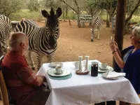 Imbube Safari Lodge - breakfast
